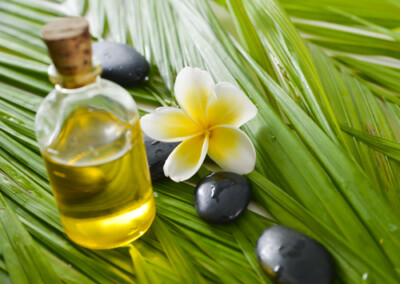 shutterstock_152277473